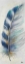 Picture of WATERCOLOR FEATHER V
