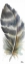 Picture of WATERCOLOR FEATHER WHITE VI