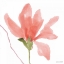 Picture of FLORAL SWAY PEACH I