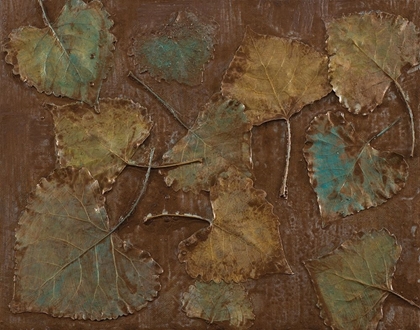 Picture of ABIQUIU LEAVES