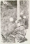 Picture of THE SONG OF THE DOG