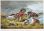 Picture of LIFE ON THE PRAIRIE - THE TRAPPERS DEFENSE, FIRE FIGHT FIRE