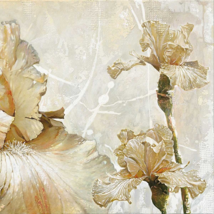 Picture of ELEGANT TOUCH