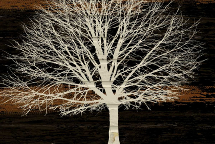 Picture of NIGHT TREE