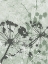 Picture of TRANQUIL GRASS 2
