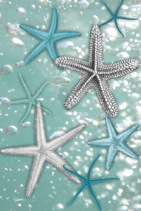 Picture of STARFISH BUBBLES