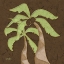 Picture of PALM