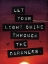 Picture of LIGHT THROUGH DARKNESS