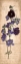 Picture of JULY LARKSPUR