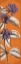 Picture of FLOWER