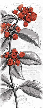 Picture of RED FLOWER