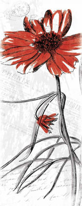 Picture of RED FLOWER