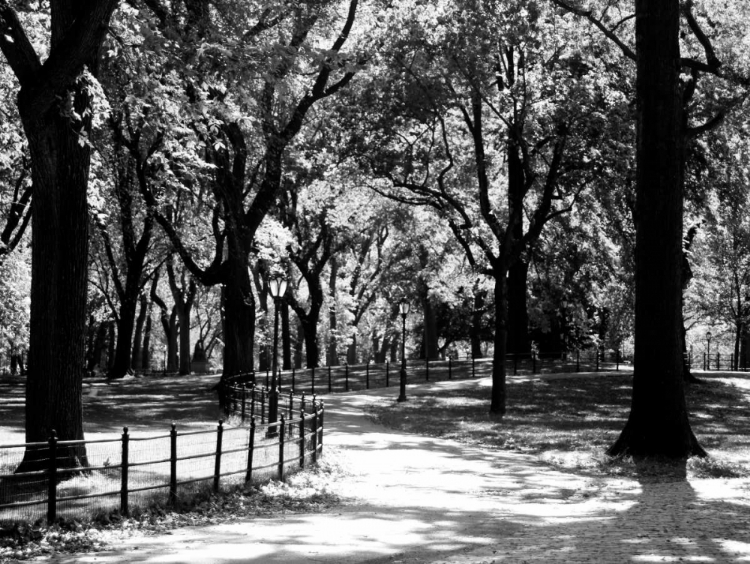 Picture of CENTRAL PARK WALK