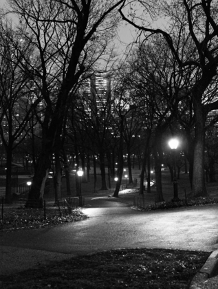Picture of CENTRAL PARK NIGHT STROLL