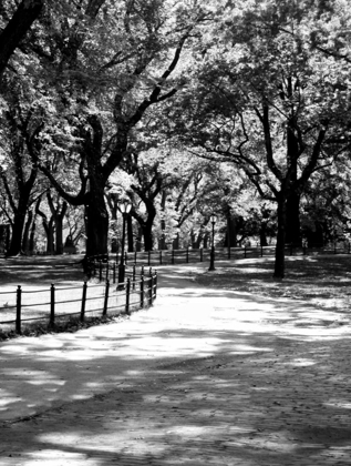 Picture of CENTRAL PARK WALK 2