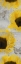 Picture of BUTTERFLY BLOOM