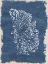 Picture of BLUE HUE CORAL 3