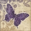 Picture of MON AMOUR BFLY