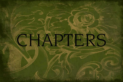 Picture of CHAPTERS