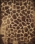 Picture of ANIMAL PRINT 3