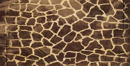 Picture of ANIMAL PRINT 3