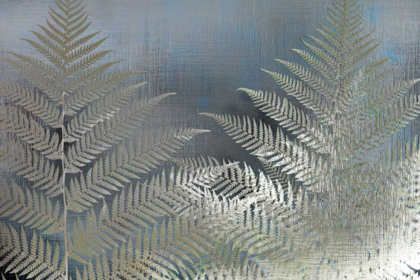 Picture of FROSTED FERNS