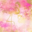 Picture of FLAMINGO PINK 1