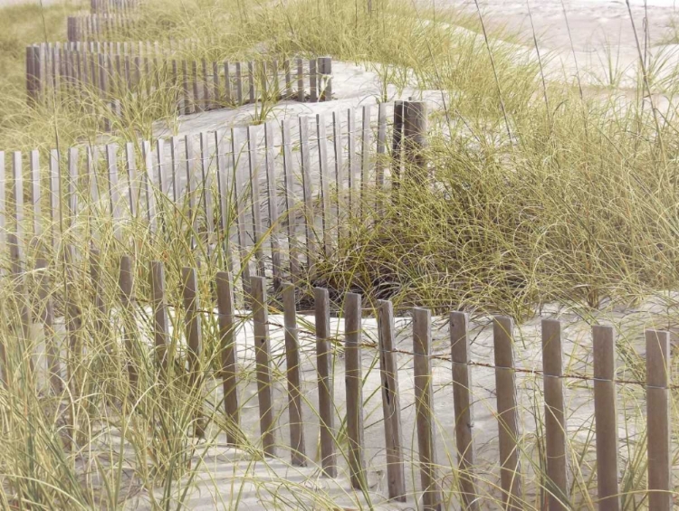 Picture of COASTAL PHOTOGRAPY UNTEXTURED