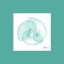 Picture of ARGONAUT SEAFOAM MATTE