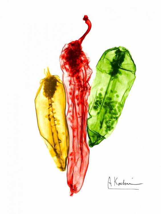 Picture of PEPPERS PICANTE