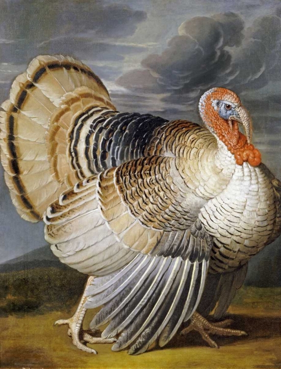 Picture of A TURKEY IN A LANDSCAPE