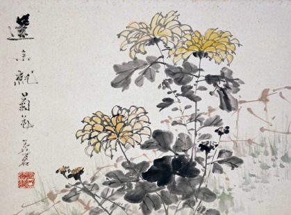 Picture of CHRYSANTHEMUMS