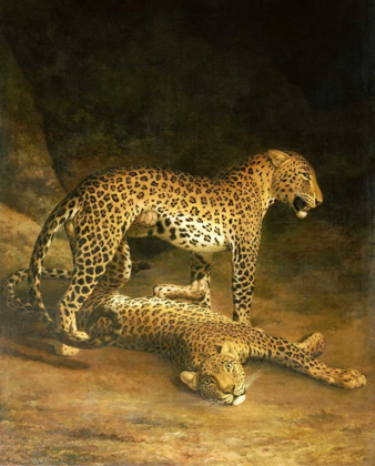 Picture of TWO LEOPARDS LYING IN THE EXETER EXCHANGE