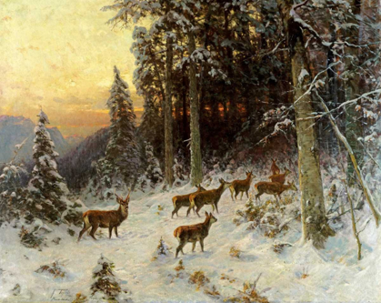 Picture of DEER IN WINTER WOODED LANDSCAPE