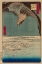 Picture of HAWK FLYING ABOVE A SNOWY LANDSCAPE ALONG THE COASTLINE., 1857