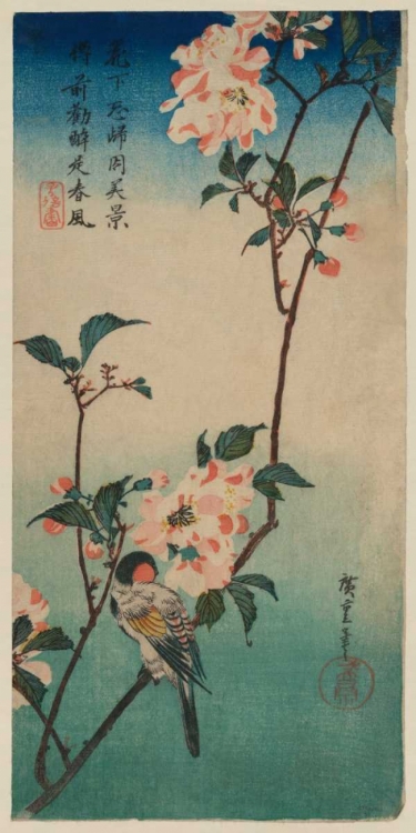 Picture of SMALL BIRD ON A BRANCH OF KAIDOZAKURA