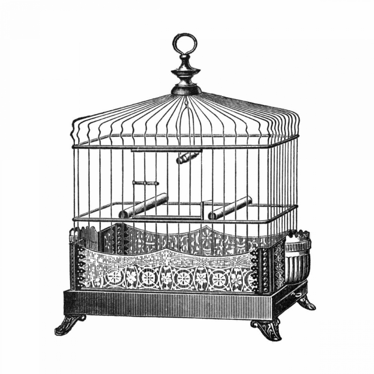 Picture of ETCHINGS: BIRDCAGE - FILIGREE BASE.
