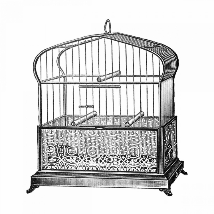 Picture of ETCHINGS: BIRDCAGE - ONION-PEAK TOP, FILIGREE PATTERN BASE