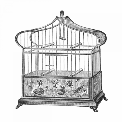 Picture of ETCHINGS: BIRDCAGE - ONION-PEAK TOP, FLORAL BASE.
