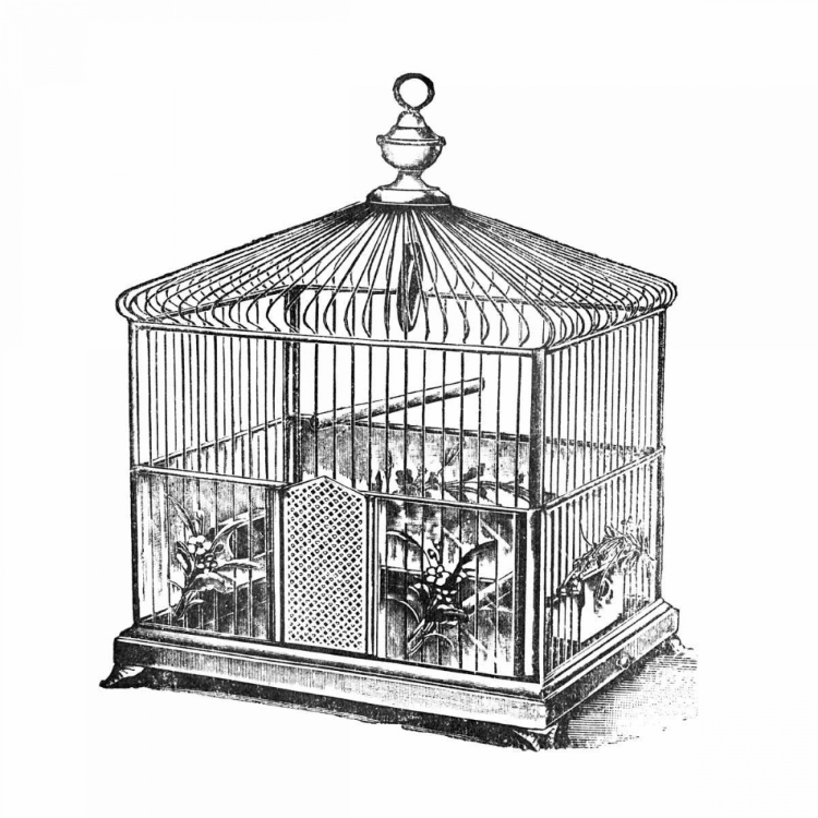 Picture of ETCHINGS: BIRDCAGE - ONION PEAK TOP, FLORAL BASE.
