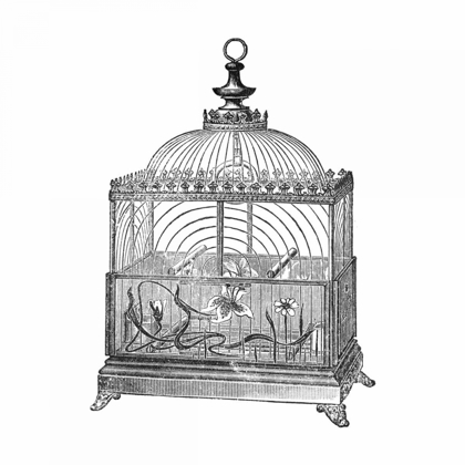 Picture of ETCHINGS: BIRDCAGE - DOME TOP, FLORAL BASE, FILIGREE DETAIL.