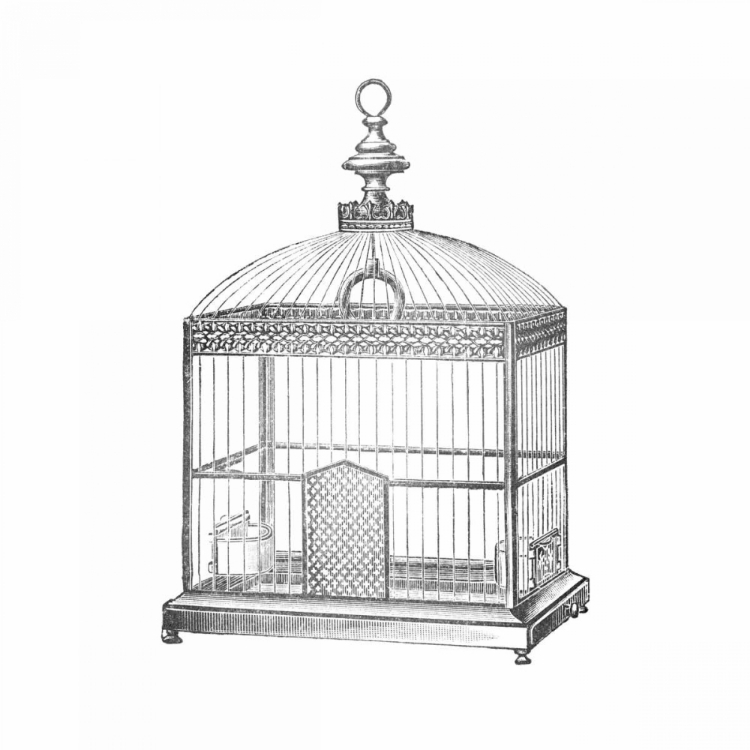 Picture of ETCHINGS: BIRDCAGE - ARCHED TOP, FILIGREE DETAIL.