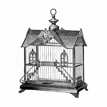 Picture of ETCHINGS: BIRDCAGE - VICTORIAN HOUSE WITH STEPS.
