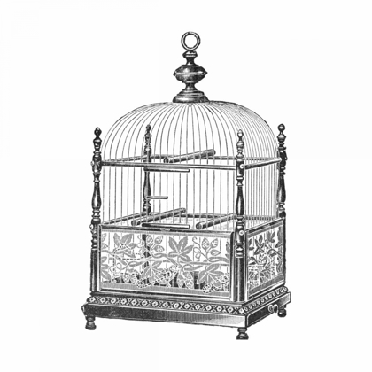 Picture of ETCHINGS: BIRDCAGE - DOME TOP, SPINDLE CORNERS, VINE DETAIL BASE.