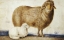 Picture of A EWE AND HER LAMB
