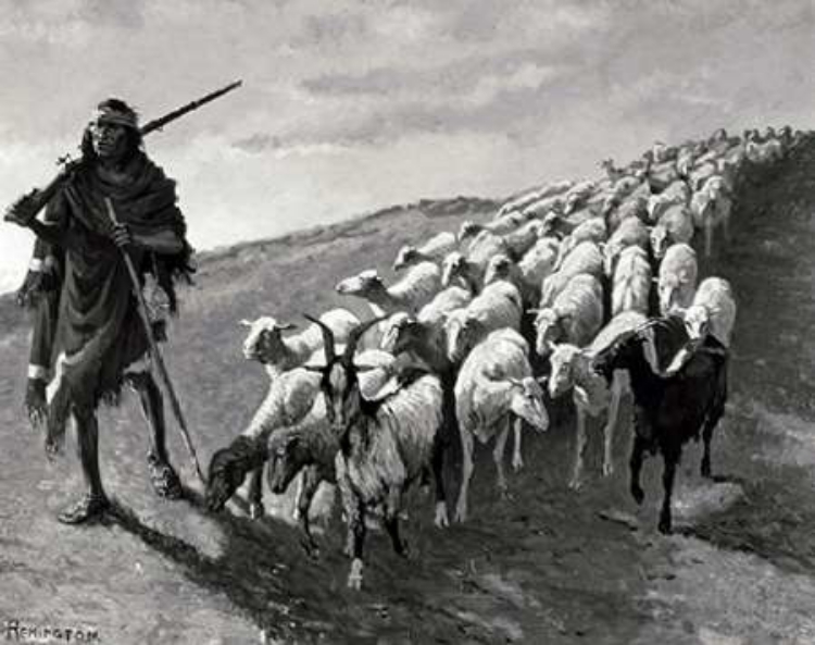 Picture of NAVAJO SHEEPHERDER