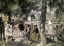 Picture of LA GRENOUILLIERE - BATHERS IN THE SEINE