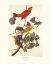 Picture of SUMMER RED BIRD (DECORATIVE BORDER)