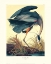 Picture of GREAT BLUE HERON (DECORATIVE BORDER)