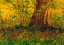 Picture of UNDERGROWTH 3